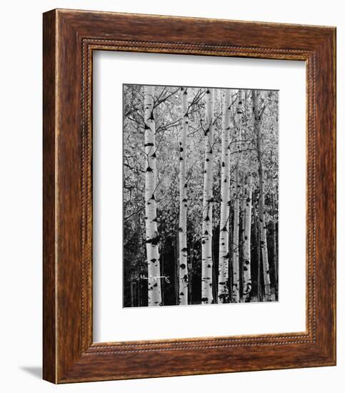 Aspens in Autumn II-Alan Majchrowicz-Framed Photo