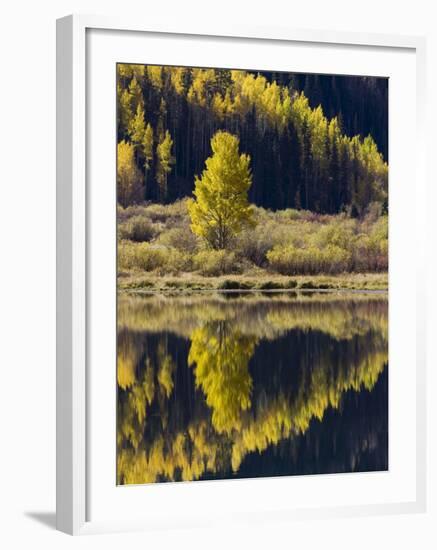 Aspens in Fall Colors Reflected in Crystal Lake, Near Ouray, Colorado-James Hager-Framed Photographic Print