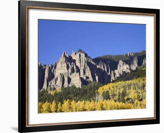 Aspens in Fall Colors with Mountains and Evergreens, Colorado, USA-James Hager-Framed Photographic Print