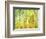 Aspens in Fall, Kebler Pass, Colorado, USA-Darrell Gulin-Framed Photographic Print