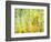 Aspens in Fall, Kebler Pass, Colorado, USA-Darrell Gulin-Framed Premium Photographic Print