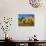 Aspens in Fall, Rocky Mountain National Park, Colorado, USA-Bernard Friel-Photographic Print displayed on a wall