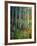 Aspens in Spring-Patrick-Framed Giclee Print