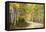 Aspens Lining Kebler Pass Road-Darrell Gulin-Framed Premier Image Canvas