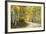 Aspens Lining Kebler Pass Road-Darrell Gulin-Framed Photographic Print