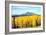 Aspens of Autumn I-Douglas Taylor-Framed Photographic Print