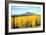 Aspens of Autumn I-Douglas Taylor-Framed Photographic Print