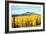 Aspens of Autumn I-Douglas Taylor-Framed Photographic Print