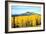 Aspens of Autumn I-Douglas Taylor-Framed Photographic Print