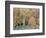 Aspens, Sawtooth National Recreation Area, Idaho, USA-Jamie & Judy Wild-Framed Photographic Print