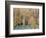 Aspens, Sawtooth National Recreation Area, Idaho, USA-Jamie & Judy Wild-Framed Photographic Print