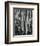 Aspens, Utah, 1972-Brett Weston-Framed Photographic Print