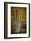 Aspens-David Lorenz Winston-Framed Art Print