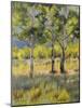 Aspens-Rusty Frentner-Mounted Giclee Print