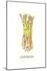 Asperges-Gwendolyn Babbitt-Mounted Art Print