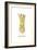 Asperges-Gwendolyn Babbitt-Framed Art Print