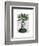 Aspidistra Head Plant Head-Fab Funky-Framed Art Print