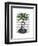 Aspidistra Head Plant Head-Fab Funky-Framed Art Print