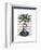 Aspidistra Head Plant Head-Fab Funky-Framed Art Print