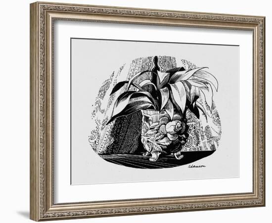 Aspidistra in a Bowl, 1950s-George Adamson-Framed Giclee Print