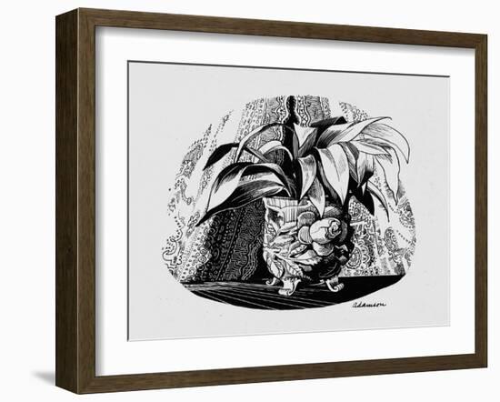 Aspidistra in a Bowl, 1950s-George Adamson-Framed Giclee Print