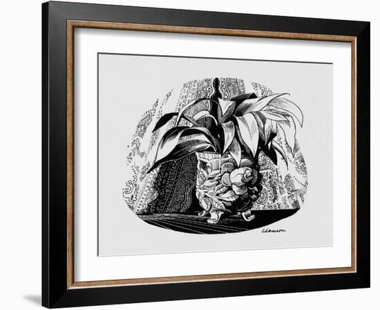 Aspidistra in a Bowl, 1950s-George Adamson-Framed Giclee Print