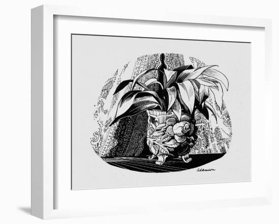 Aspidistra in a Bowl, 1950s-George Adamson-Framed Giclee Print