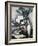 Aspidistra-Samuel John Peploe-Framed Giclee Print