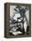 Aspidistra-Samuel John Peploe-Framed Premier Image Canvas