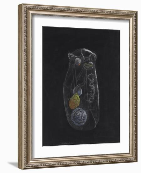 Asplanchna: Rotifer-Philip Henry Gosse-Framed Giclee Print