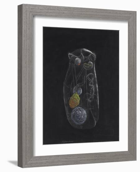 Asplanchna: Rotifer-Philip Henry Gosse-Framed Giclee Print