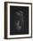 Asplanchna: Rotifer-Philip Henry Gosse-Framed Giclee Print