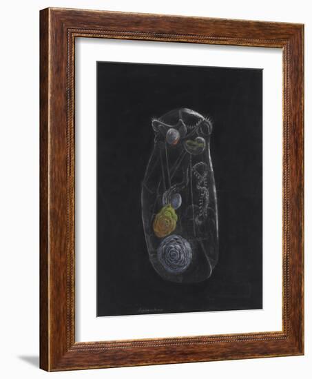 Asplanchna: Rotifer-Philip Henry Gosse-Framed Giclee Print