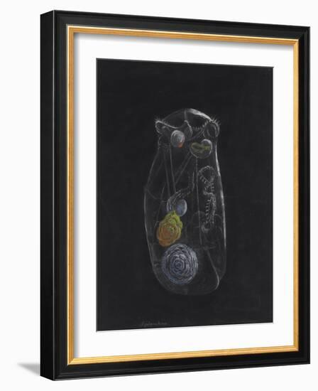 Asplanchna: Rotifer-Philip Henry Gosse-Framed Giclee Print