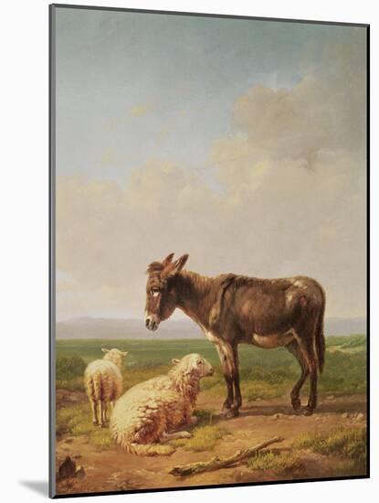 Ass and Sheep, 1849 (Oil)-Eugene Joseph Verboeckhoven-Mounted Giclee Print