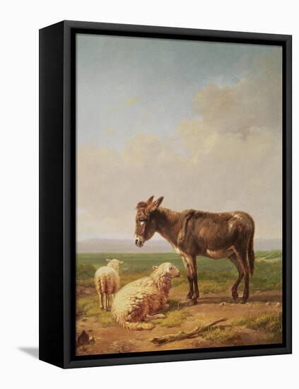 Ass and Sheep, 1849 (Oil)-Eugene Joseph Verboeckhoven-Framed Premier Image Canvas