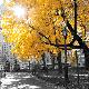 Premium Photographic Print