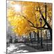Premium Photographic Print