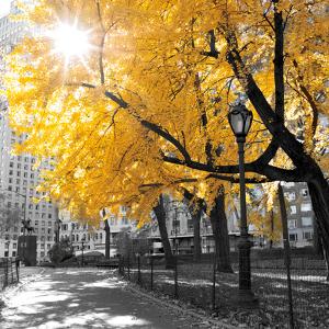 Park Pretty II by Assaf Frank