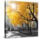 Stretched Canvas Print