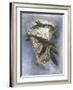 Assail-Barbara Keith-Framed Giclee Print