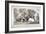 Assassination Attempt Against Queen Victoria, Constitution Hill, Westminster, London, 1840-JR Jobbins-Framed Giclee Print