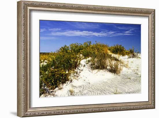 Assateague Beach 1-Alan Hausenflock-Framed Photographic Print