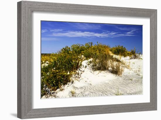 Assateague Beach 1-Alan Hausenflock-Framed Photographic Print