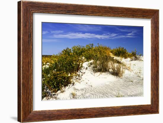 Assateague Beach 1-Alan Hausenflock-Framed Photographic Print