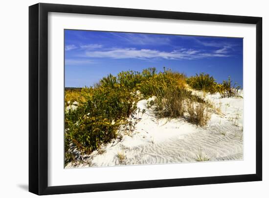 Assateague Beach 1-Alan Hausenflock-Framed Photographic Print