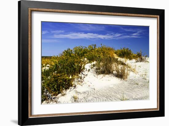 Assateague Beach 1-Alan Hausenflock-Framed Photographic Print