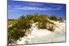 Assateague Beach 1-Alan Hausenflock-Mounted Photographic Print