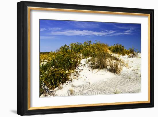 Assateague Beach 1-Alan Hausenflock-Framed Photographic Print