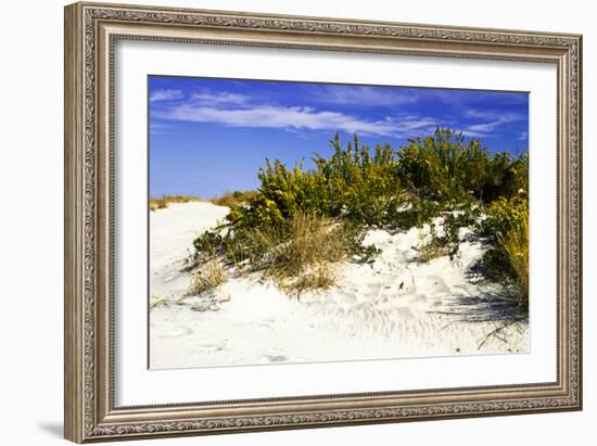 Assateague Beach 2-Alan Hausenflock-Framed Photographic Print